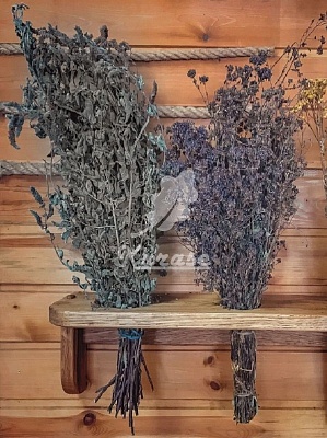 ���� ����� ��� ������� � ���� ����� (22431)